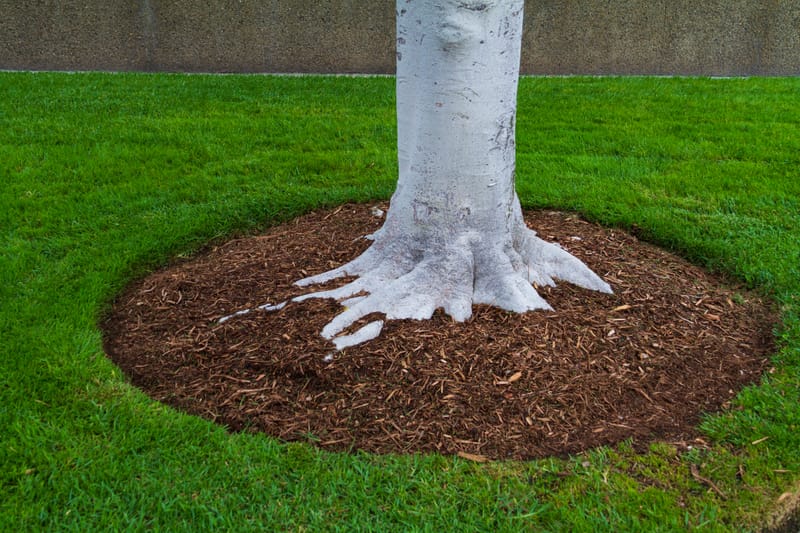Mulching