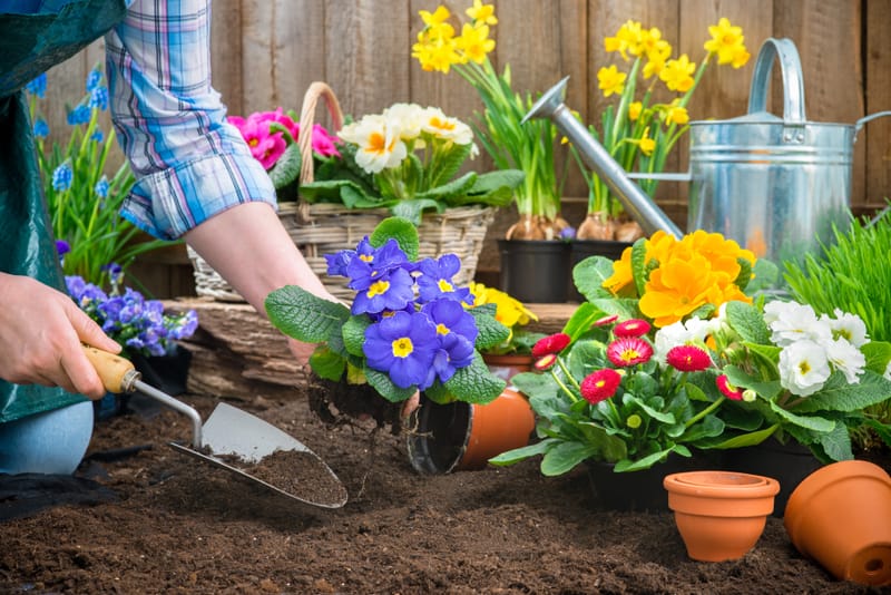 Garden Care