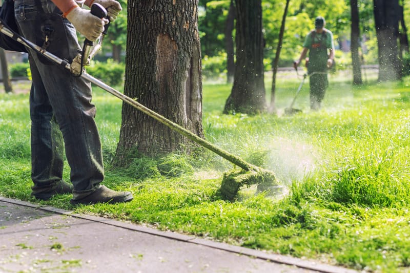 Weed whacking