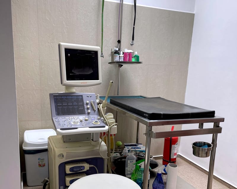 Ecografie abdominala generala