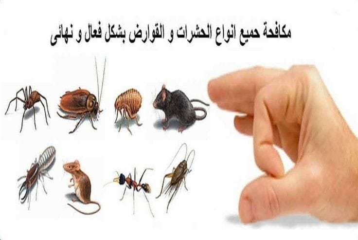 خدمة مكافحة الحشرات