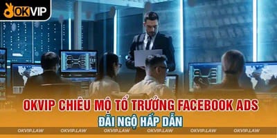 OKVIP Tuyển Dụng Vị Trí Tổ Trưởng Facebook Cực Hấp Dẫn