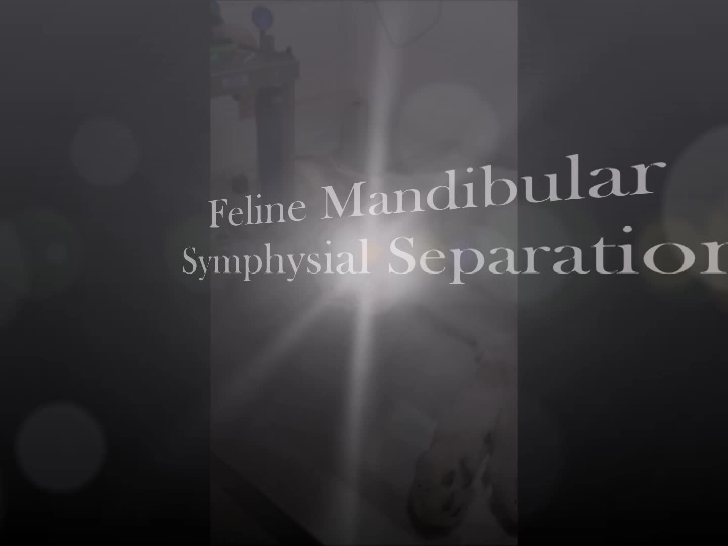 Mandibular Symphyseal Seperation
