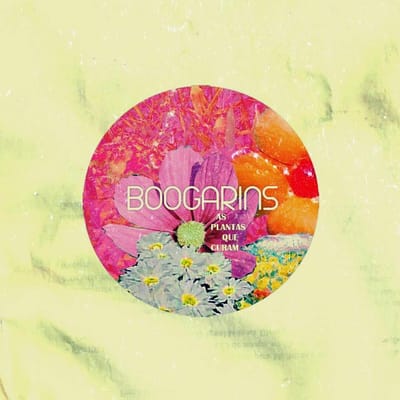 Boogarins- As plantas que curam
