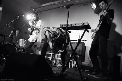 Galgo partilham "Pivot".