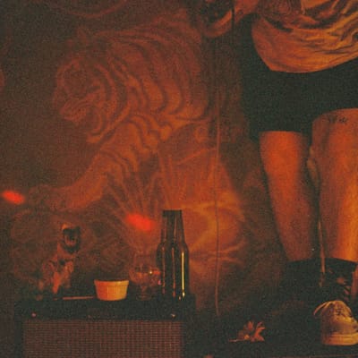 The Sunflowers- The Intergalactic Guide To Find The Red Cowboy