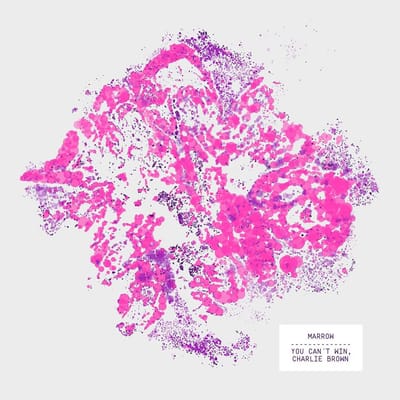 You Can't Win, Charlie Brown- Marrow