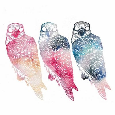 Flyyng Colours- Mindfulness