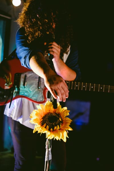 The Sunflowers + 800 Gondomar + The Moon Preachers na ZDB