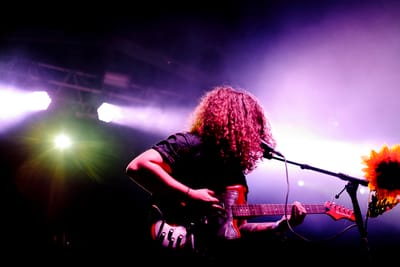 Internacionalização dos The Sunflowers começou