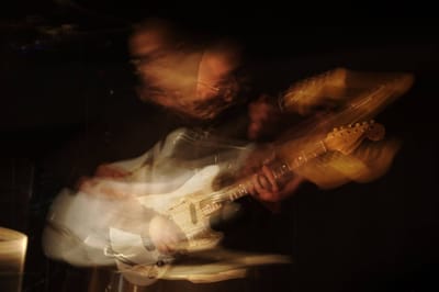 Sun Blossoms mostra novas canções e anuncia disco