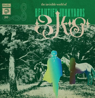 Beautify Junkyards - The Invisible World of Beautify Junkyards