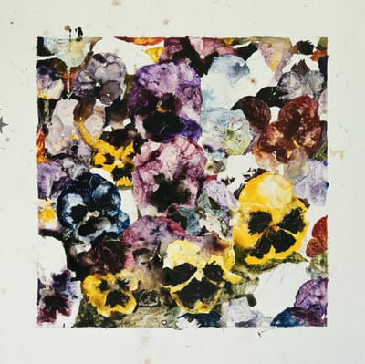 Maria Reis: "Suspiro" | Review