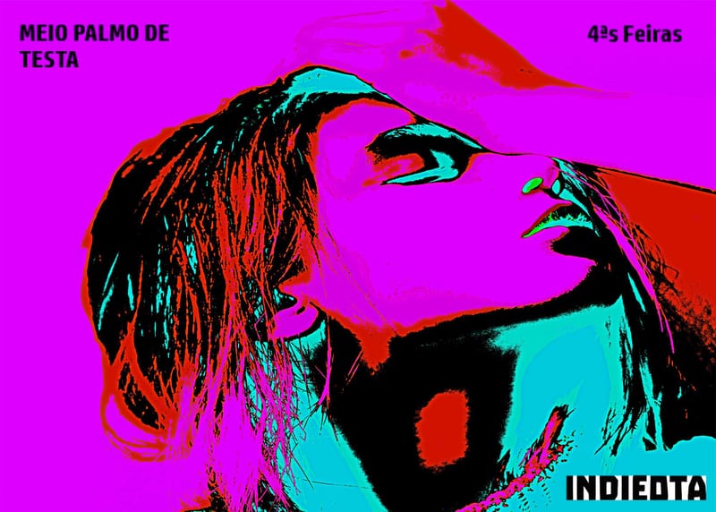 MEIO PALMO DE TESTA/ 5º EPISÓDIO