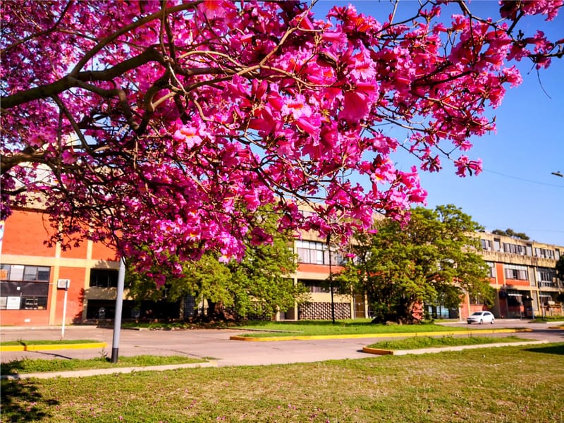 Escuela de Invierno Luis Santaló
