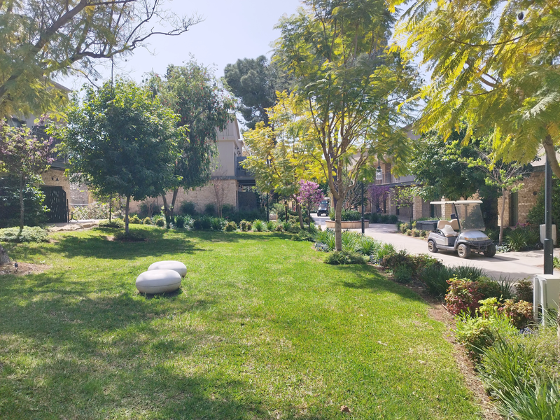 איילה ריזורט איילת השחר