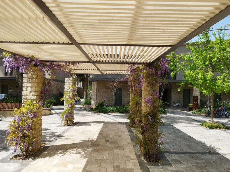 איילה ריזורט איילת השחר