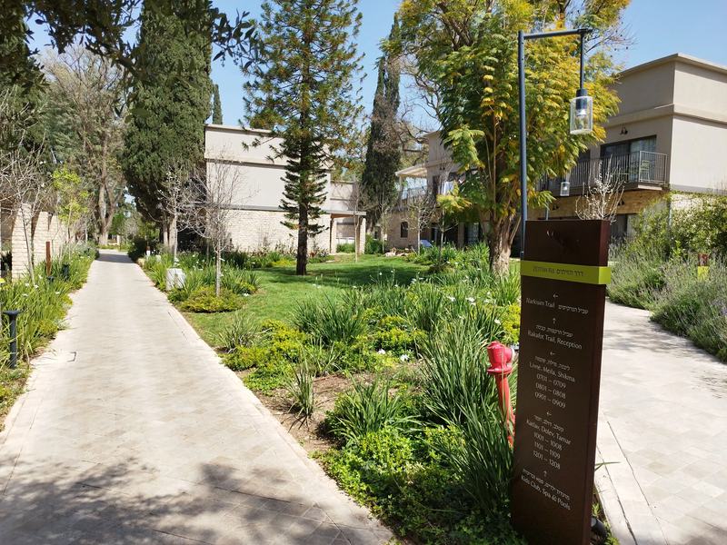 איילה ריזורט איילת השחר