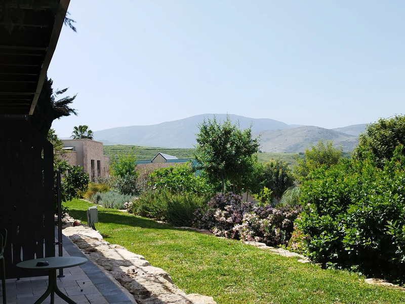 איילה ריזורט איילת השחר