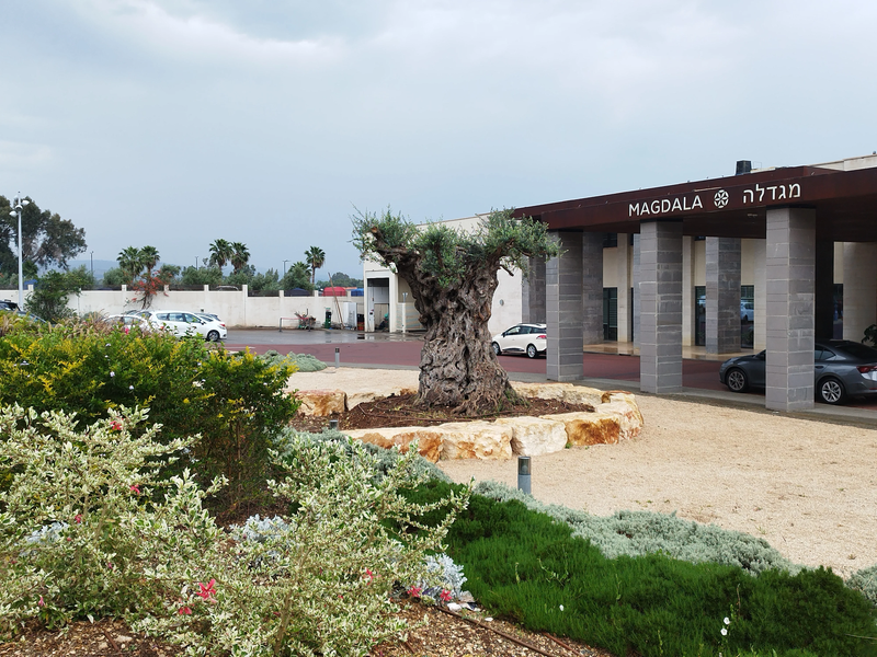 מלון מגדלה בעיר העתיקה מגדלה