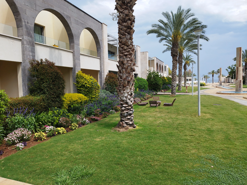 מלון מגדלה בעיר העתיקה מגדלה