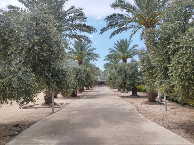 מלון מגדלה בעיר העתיקה מגדלה