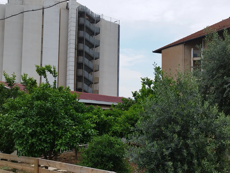 לייק האוס כנרת