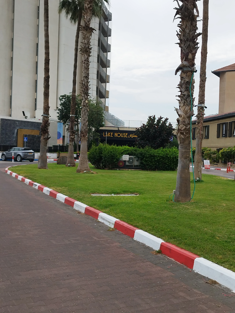 לייק האוס כנרת