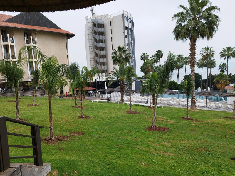 לייק האוס כנרת