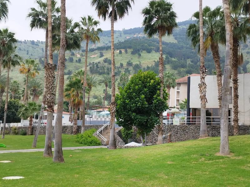 לייק האוס כנרת