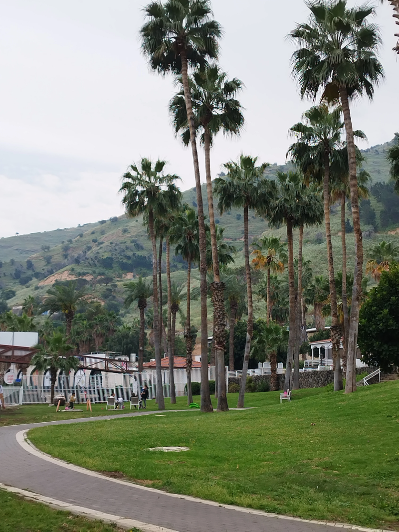 לייק האוס כנרת