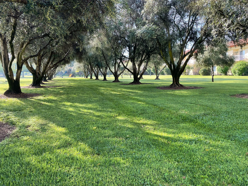 מלון פסטורל כפר בלום