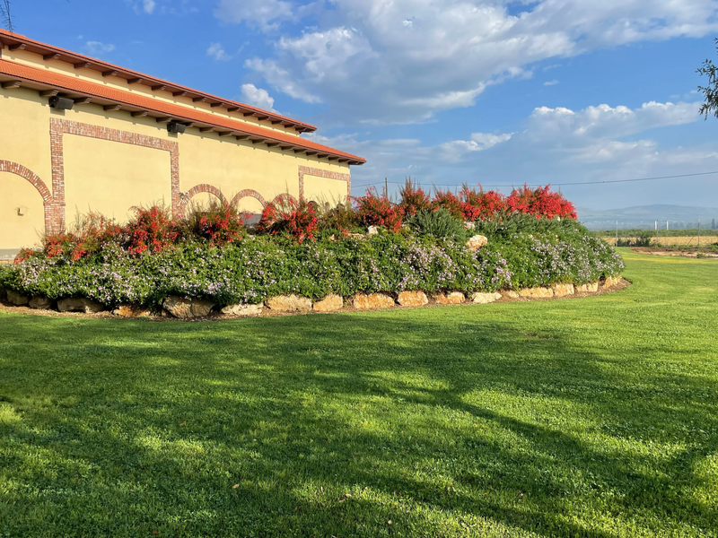 מלון פסטורל כפר בלום