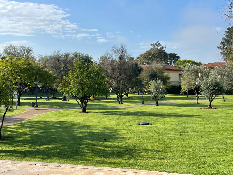 מלון פסטורל כפר בלום