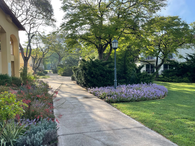 מלון פסטורל כפר בלום