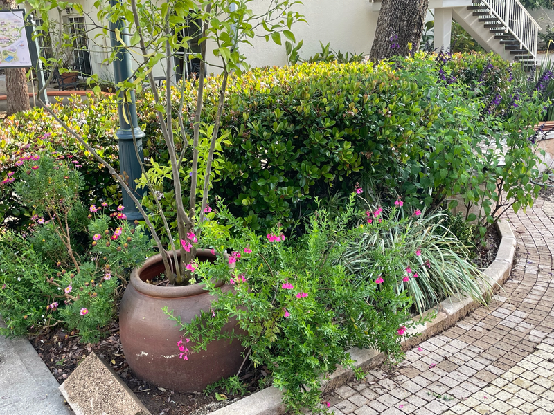 מלון פסטורל כפר בלום