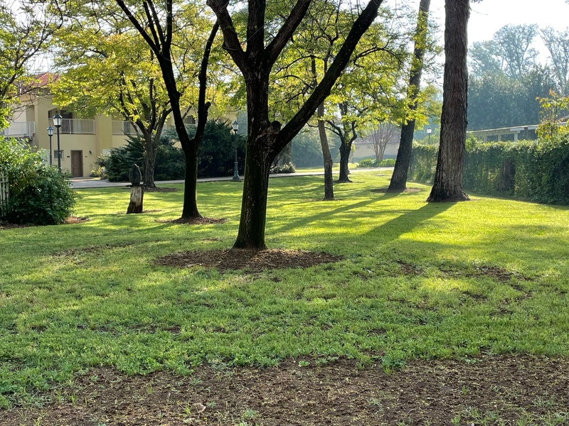 מלון פסטורל כפר בלום