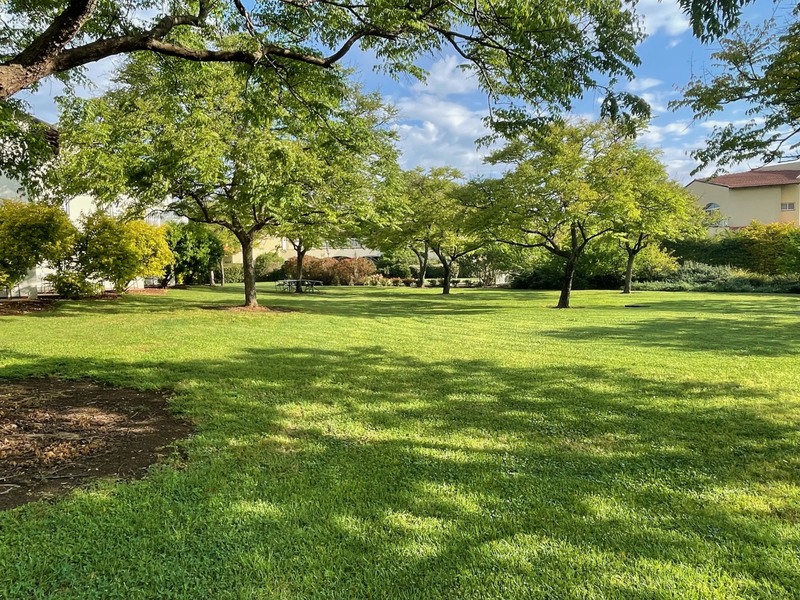 מלון פסטורל כפר בלום