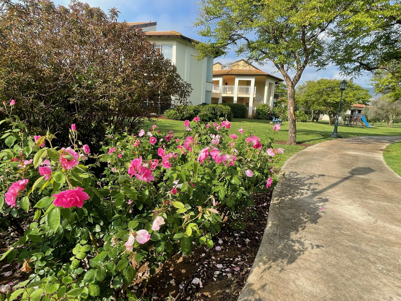 מלון פסטורל כפר בלום