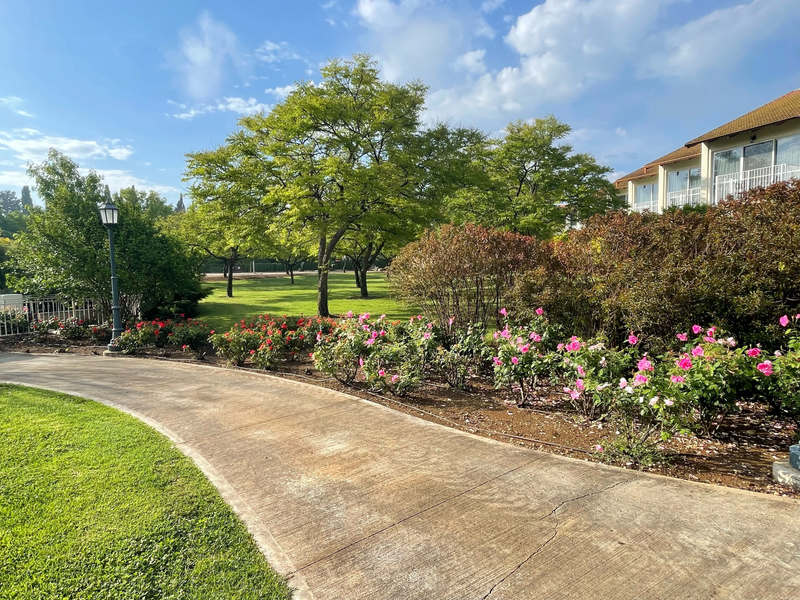 מלון פסטורל כפר בלום