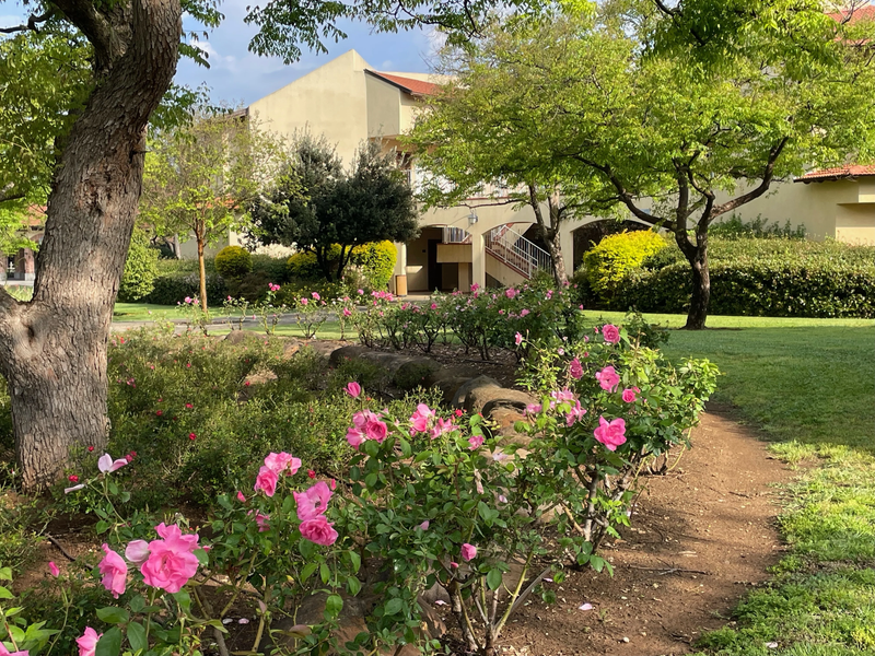 מלון פסטורל כפר בלום