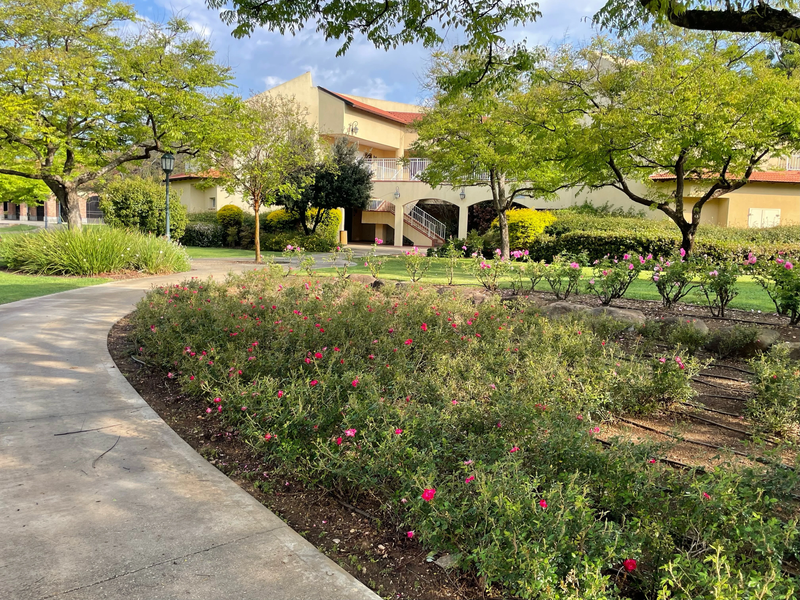 מלון פסטורל כפר בלום