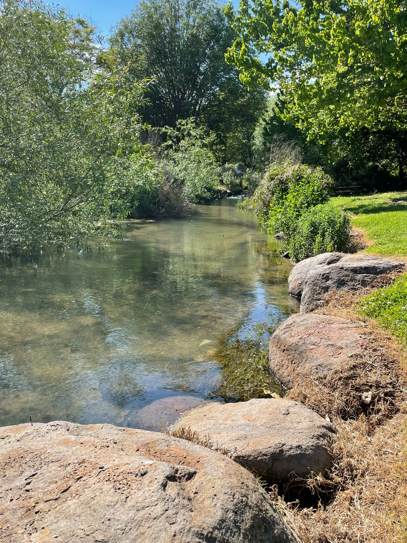 מלון מטיילים ארץ דפנה