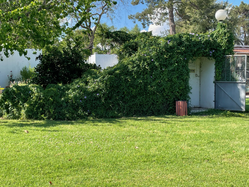 מלון מטיילים ארץ דפנה