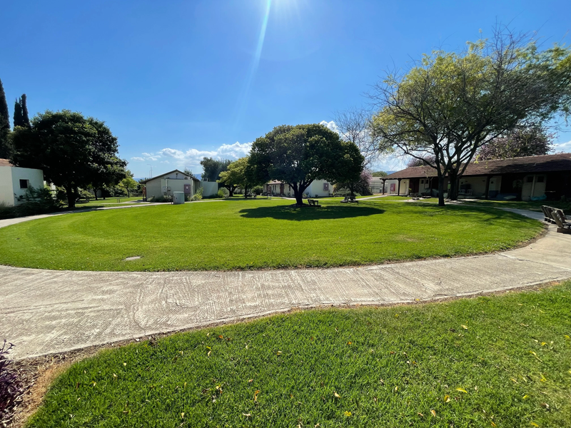 מלון מטיילים ארץ דפנה