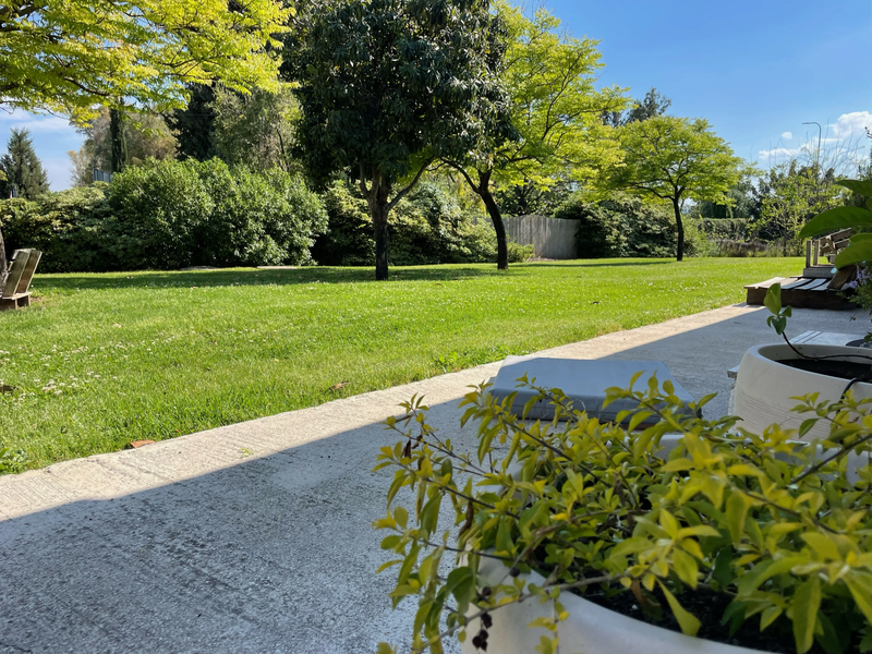 מלון מטיילים ארץ דפנה