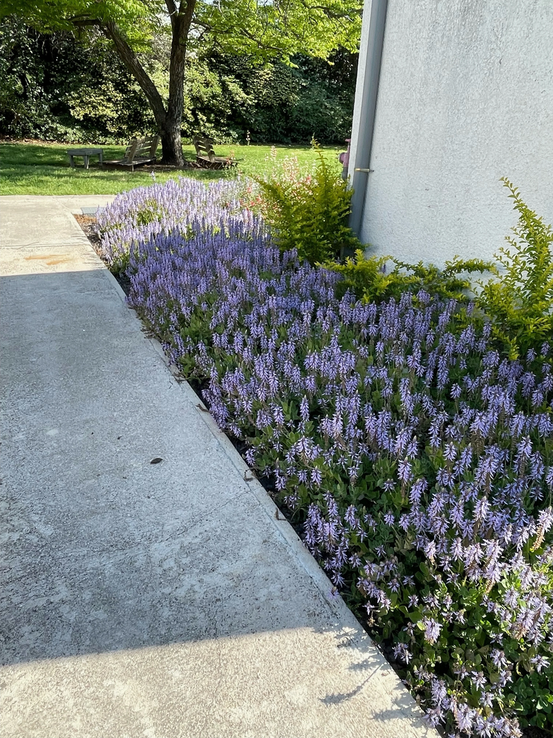 מלון מטיילים ארץ דפנה