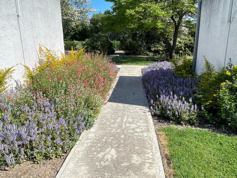 מלון מטיילים ארץ דפנה