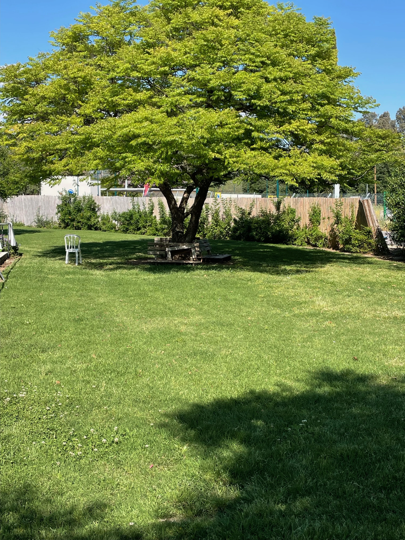 מלון מטיילים ארץ דפנה