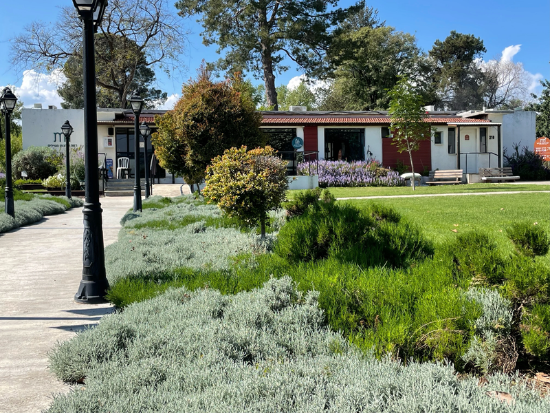 מלון מטיילים ארץ דפנה